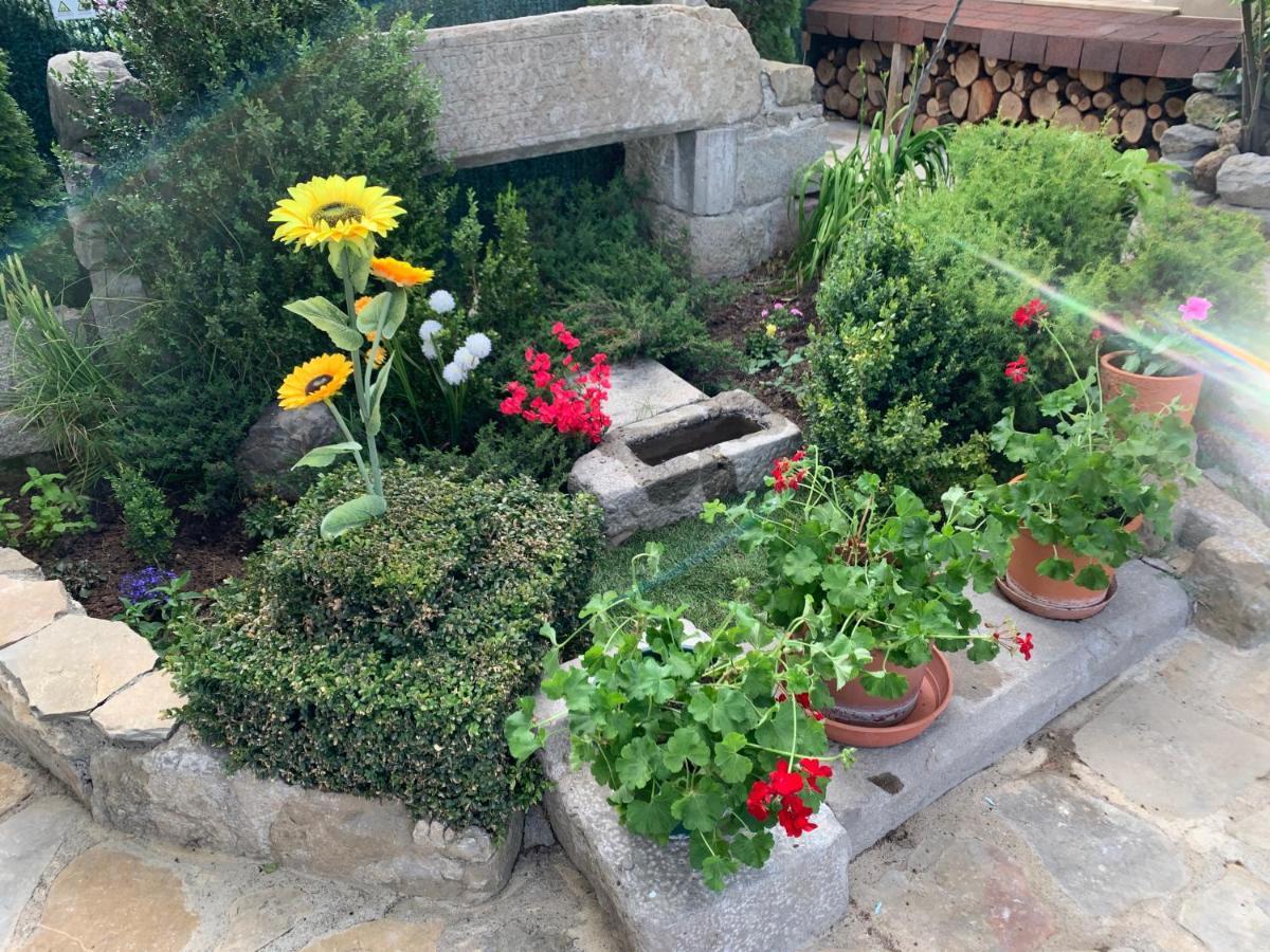 Casa Rural Laguarta - Restaurante Konuk evi Dış mekan fotoğraf